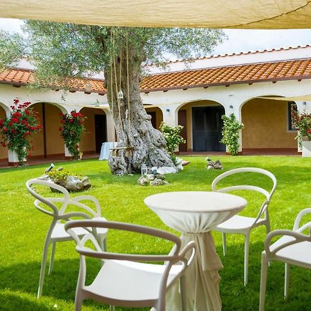 Tenuta Amalthea Sessa Aurunca Exterior foto