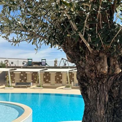 Tenuta Amalthea Sessa Aurunca Exterior foto